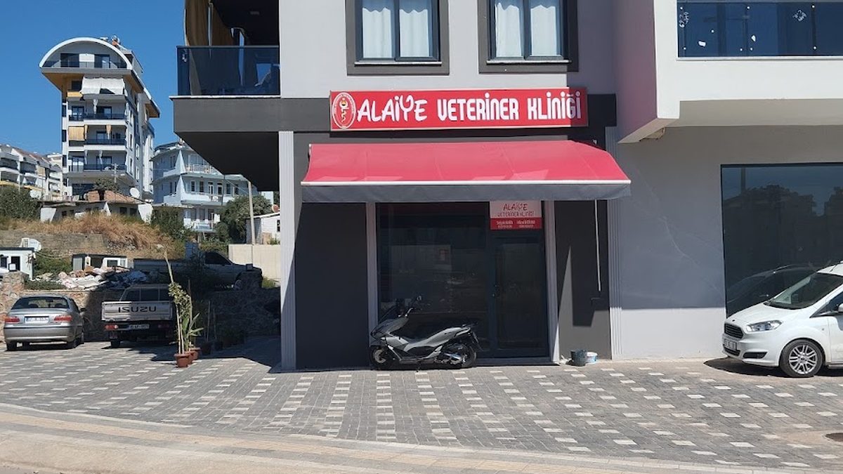 Alaiye Veteriner Kliniği