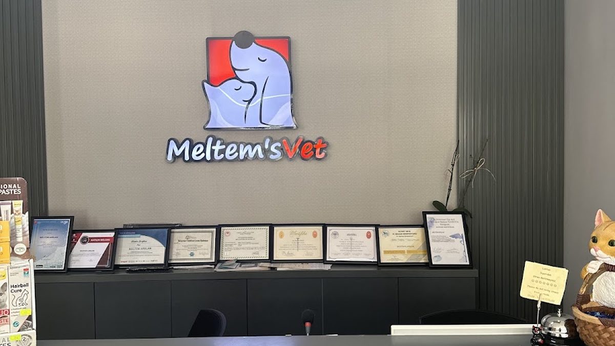 Alanya Meltem's Veteriner Kliniği