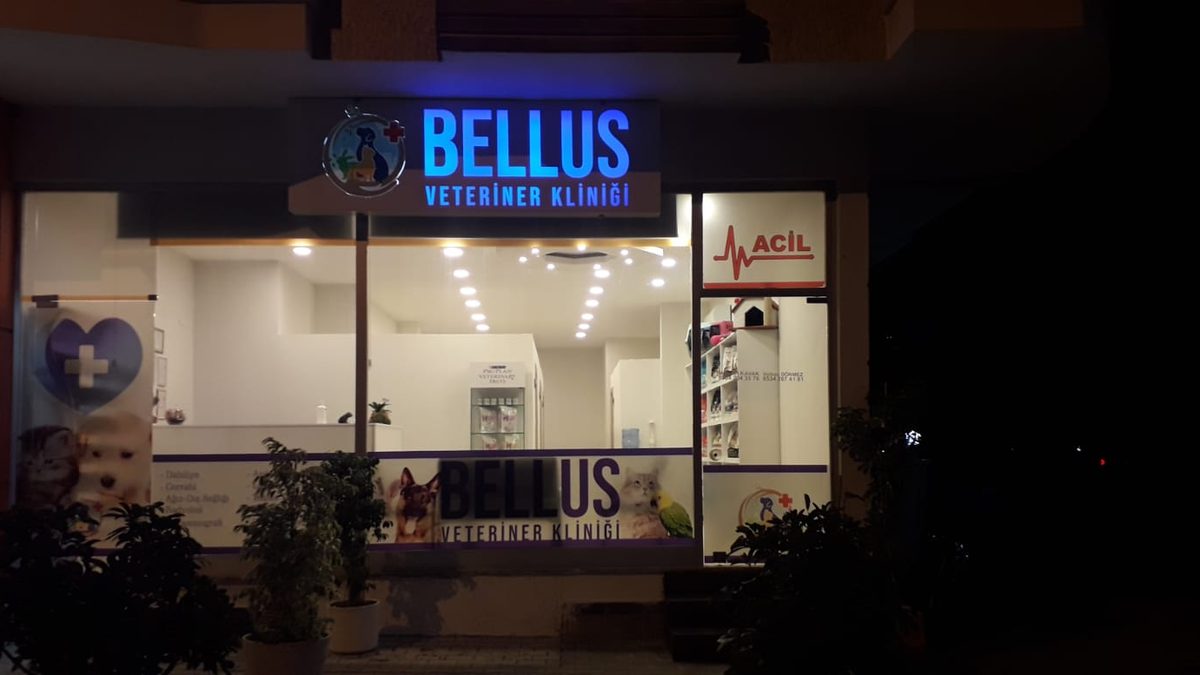 Bellus Veteriner Kliniği