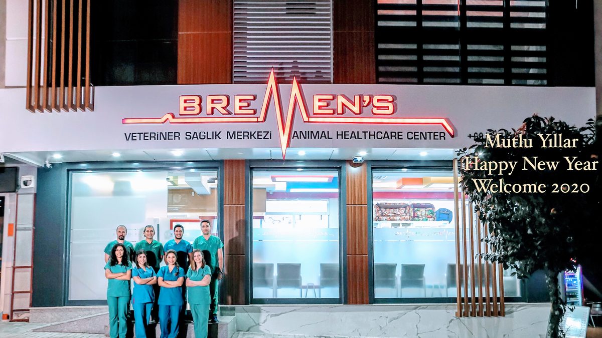 Bremen's Pet Hospital
