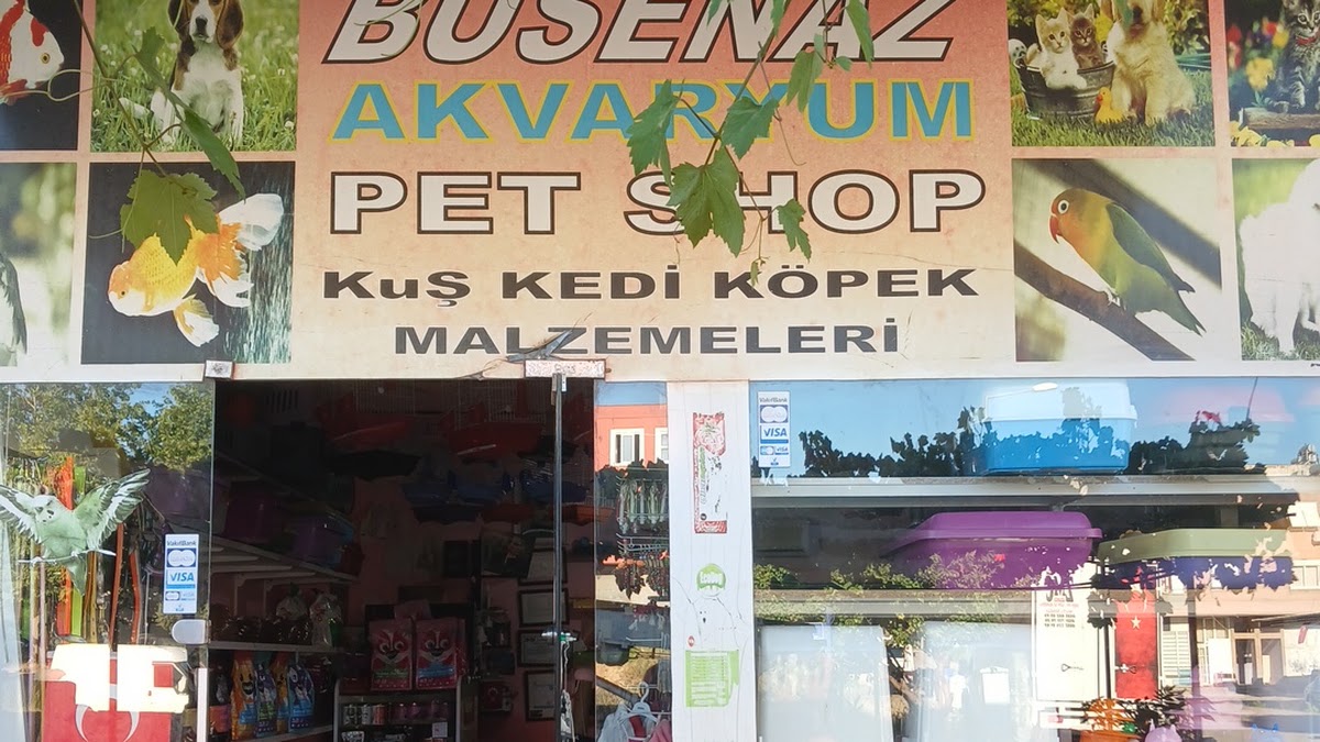 Busenaz Petshop & Akvaryum