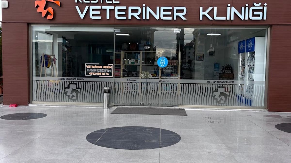 Kestel Veteriner Kliniği