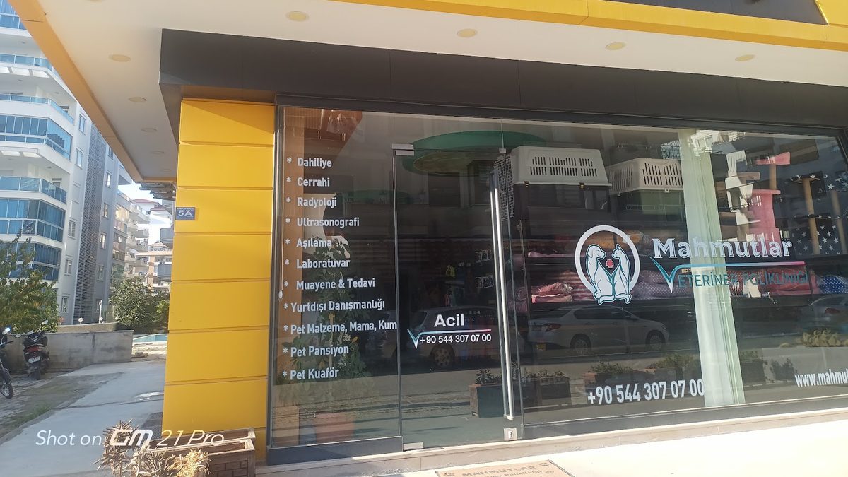 Mahmutlar Veteriner Polikliniği