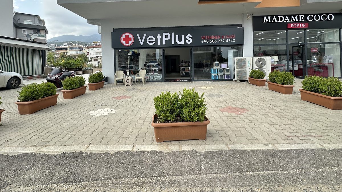 VetPlus Veteriner Kliniği
